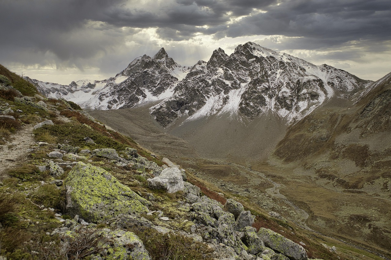 Forêt alpine et prairies verdoyantes dans la vallée du Queyras.