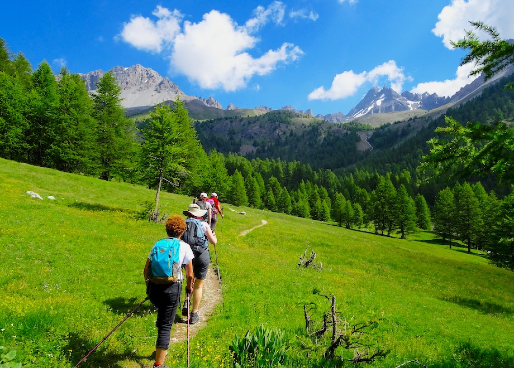 Vallée du Queyras : Découvrez la Randonnée