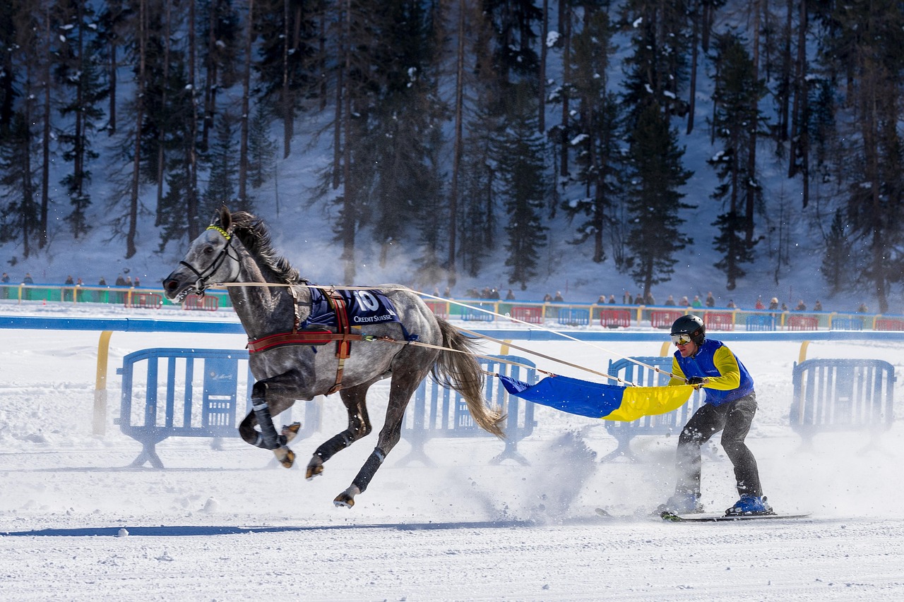 Skieur tracté par un cheval lors d’une session de ski joëring dans le Queyras.
