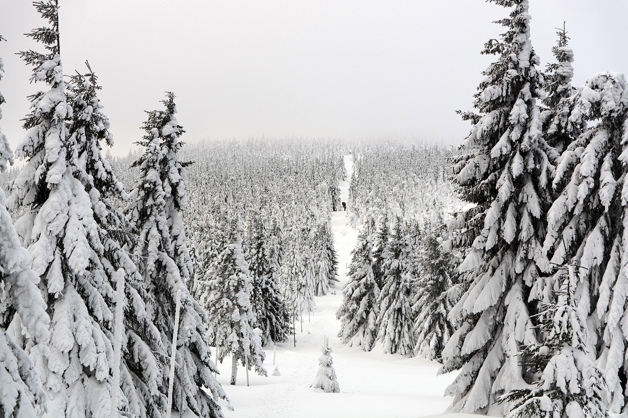 Montagnes et vall&eacute;e du Queyras recouvertes de neige sous un ciel bleu d&rsquo;hiver.