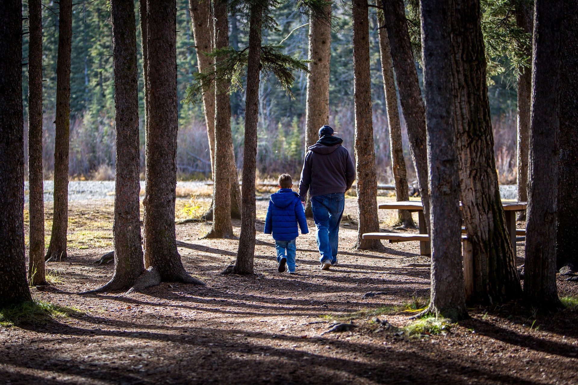 P&egrave;re et enfant en balade en for&ecirc;t dans le Queyras