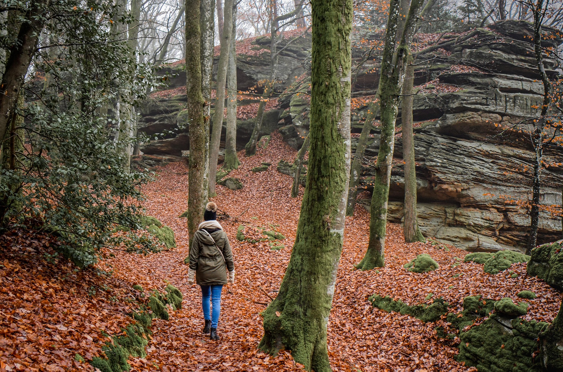 Randonneuse marchant dans une for&ecirc;t naturelle pendant un s&eacute;jour randonn&eacute;e dans le Queyras