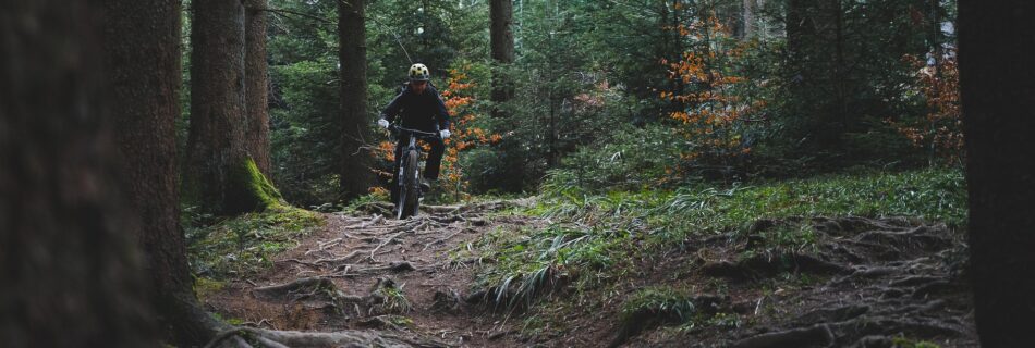 Cycliste en fat bike sur un sentier forestier dans le Queyras au c&oelig;ur des Hautes-Alpes